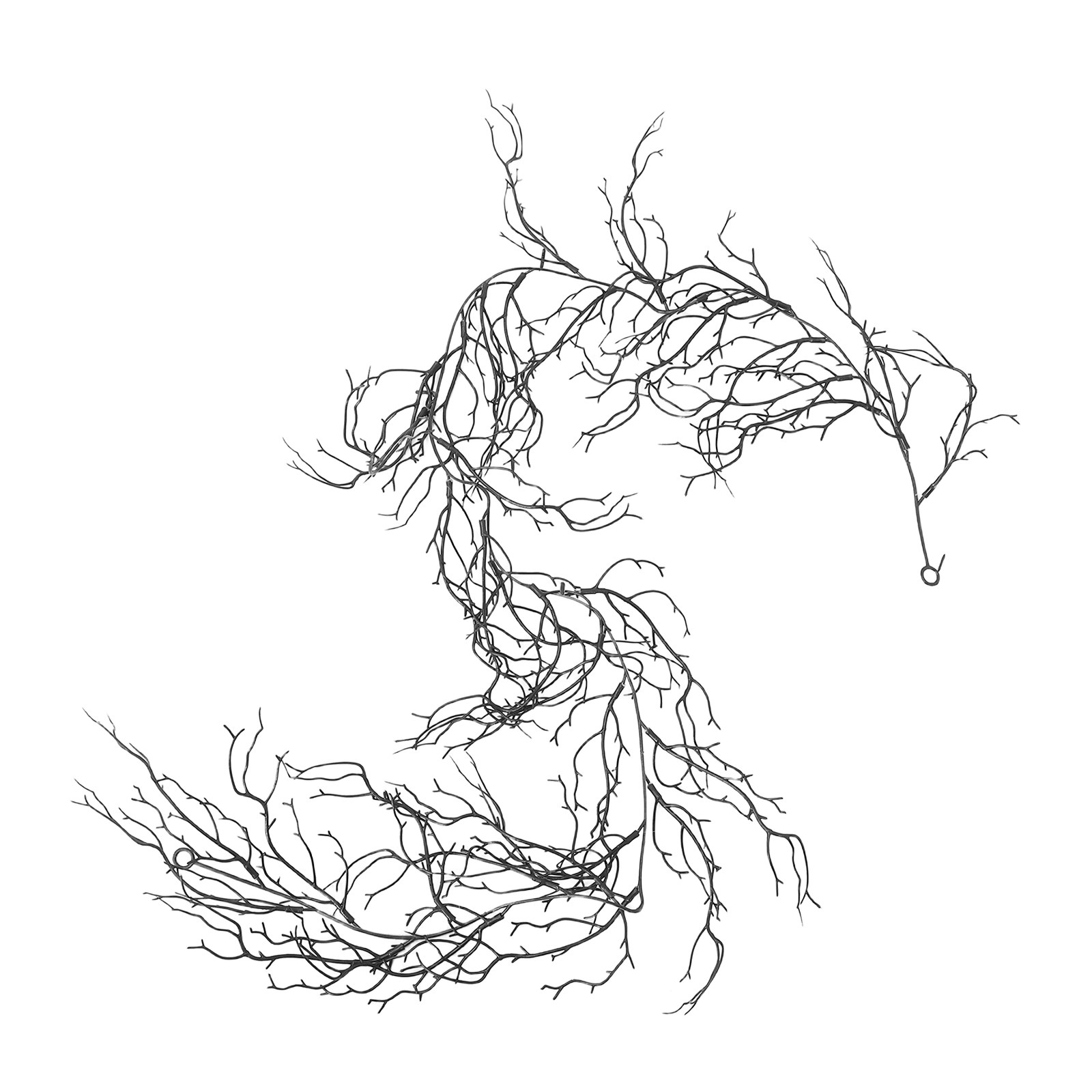 Flexible Black Curly Willow Br - Branch Curly Willow 评论和价格