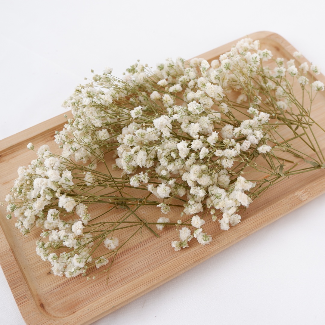 Dried Flowers White Mini Dried - Baby Breath Dried 评论和价格