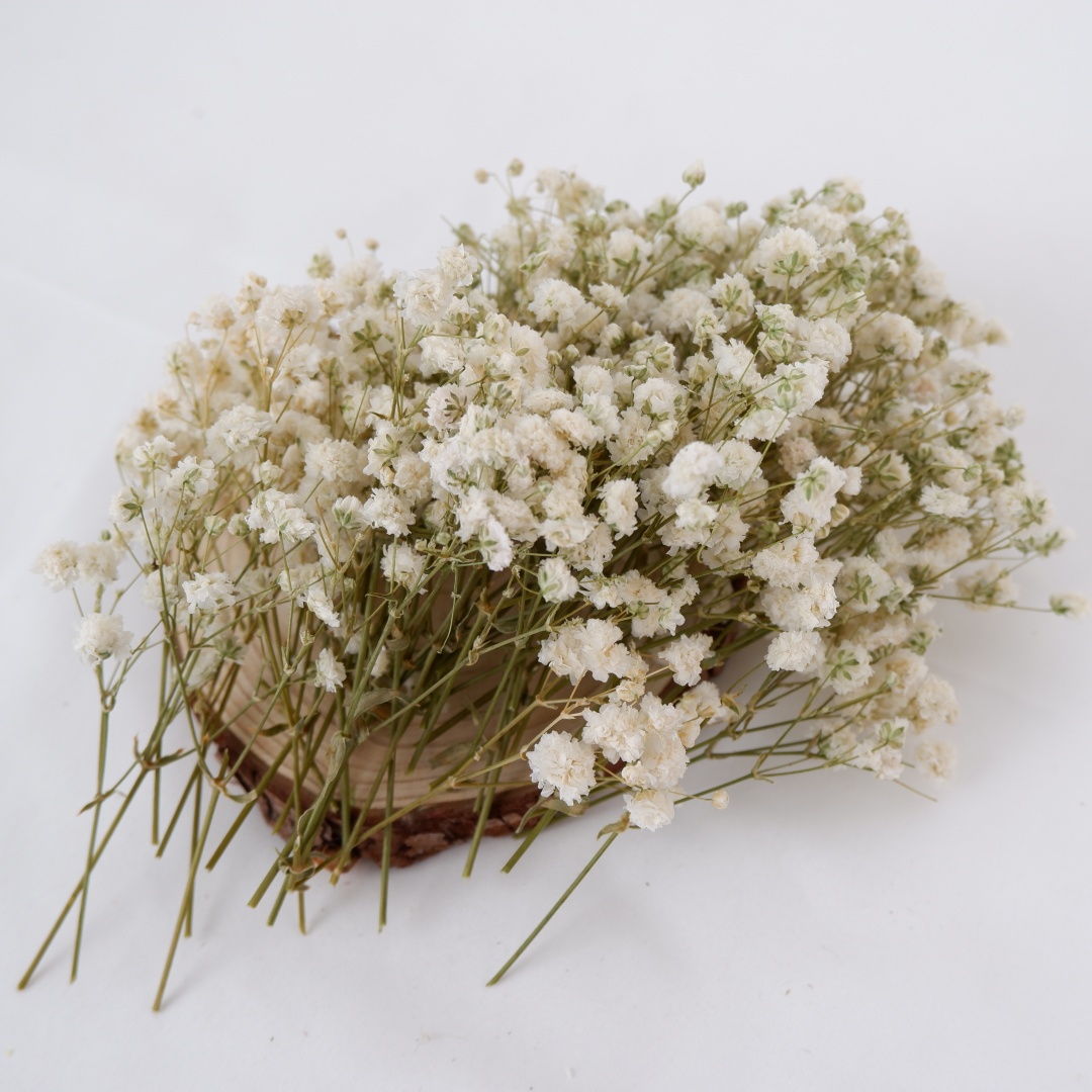Dried Flowers White Mini Dried - Baby Breath Dried 评论和价格