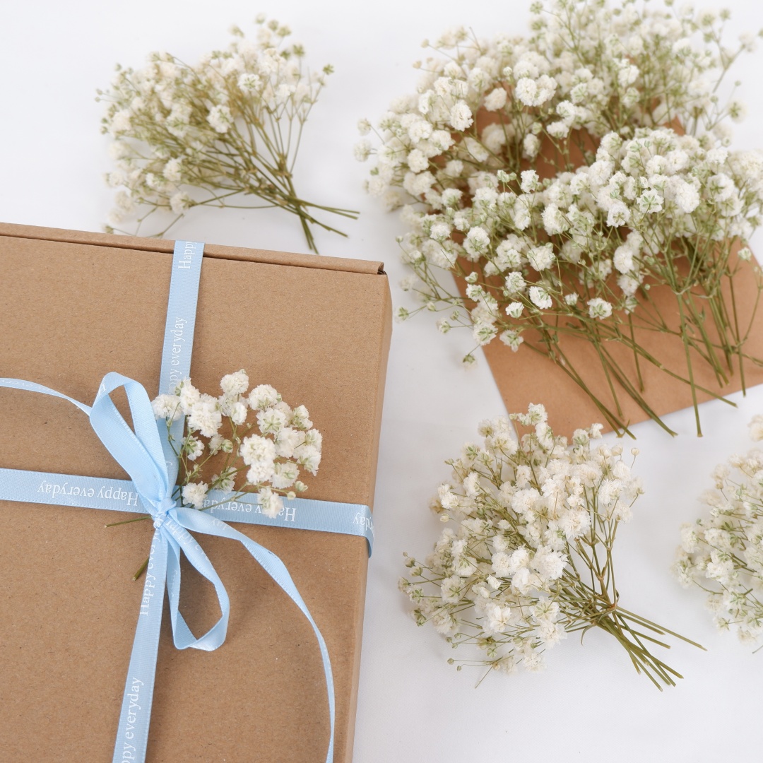 Dried Flowers White Mini Dried - Baby Breath Dried 评论和价格