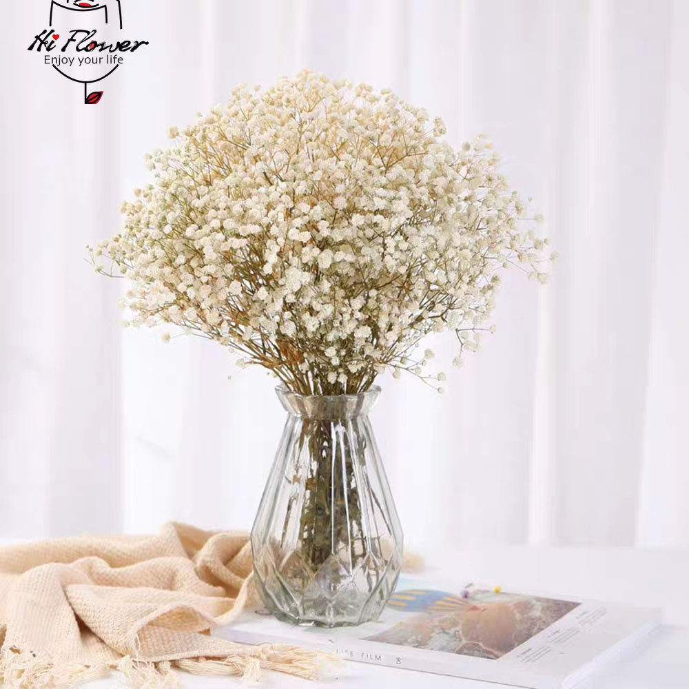 Natural Dried Flowers Preserve - Baby Breath Dried 评论和价格