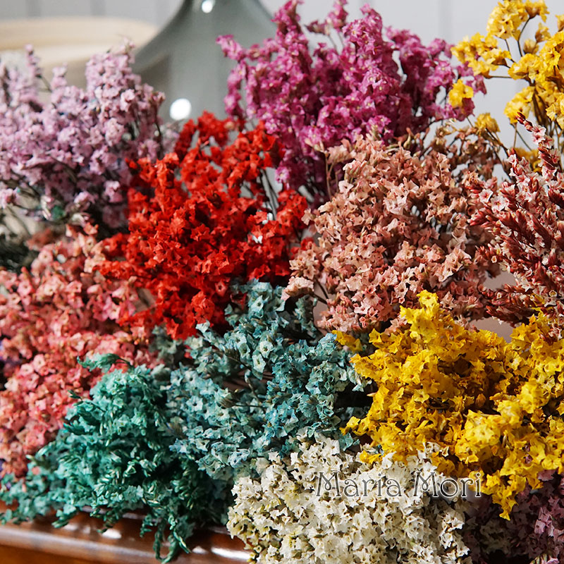 5g/ Colorful Dired Preserved C - Baby Breath Dried 评论和价格