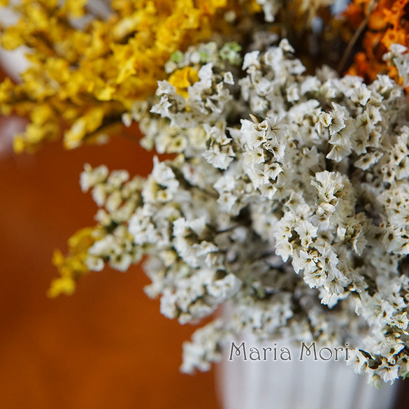 5g/ Colorful Dired Preserved C - Baby Breath Dried 评论和价格