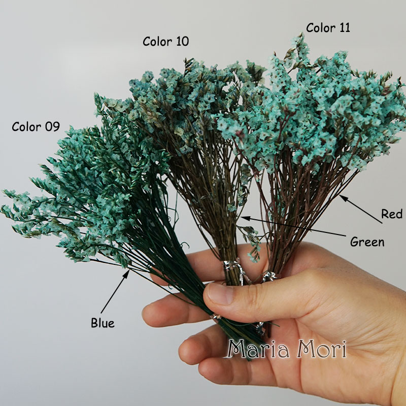 5g/ Colorful Dired Preserved C - Baby Breath Dried 评论和价格