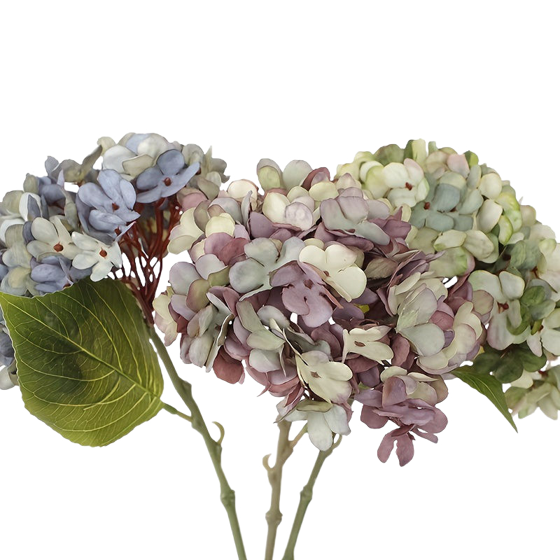 1pcs Simulated hydrangea flowe - Baby Breath Dried 评论和价格