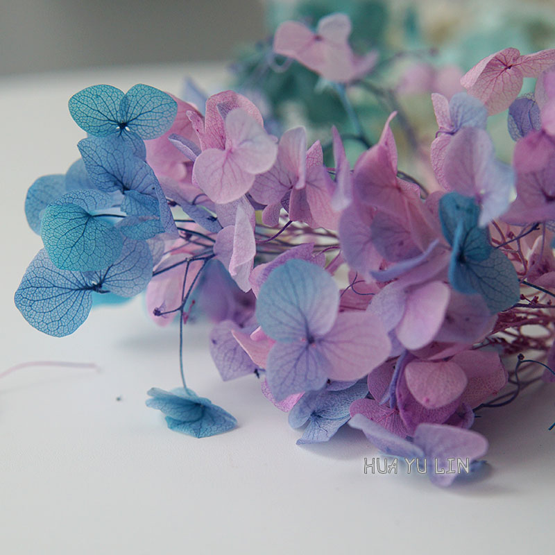Ombre Gradient Dried Preserved - Baby Breath Dried 评论和价格