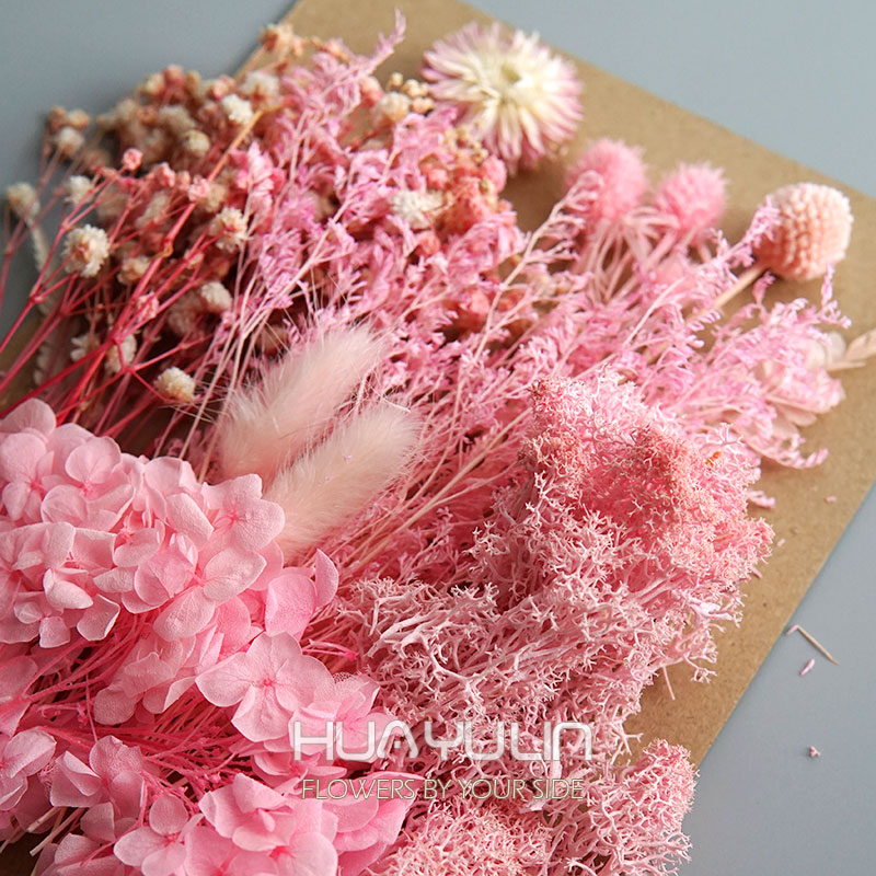 1 Pack Artificial Plants Dried - Baby Breath Dried 评论和价格