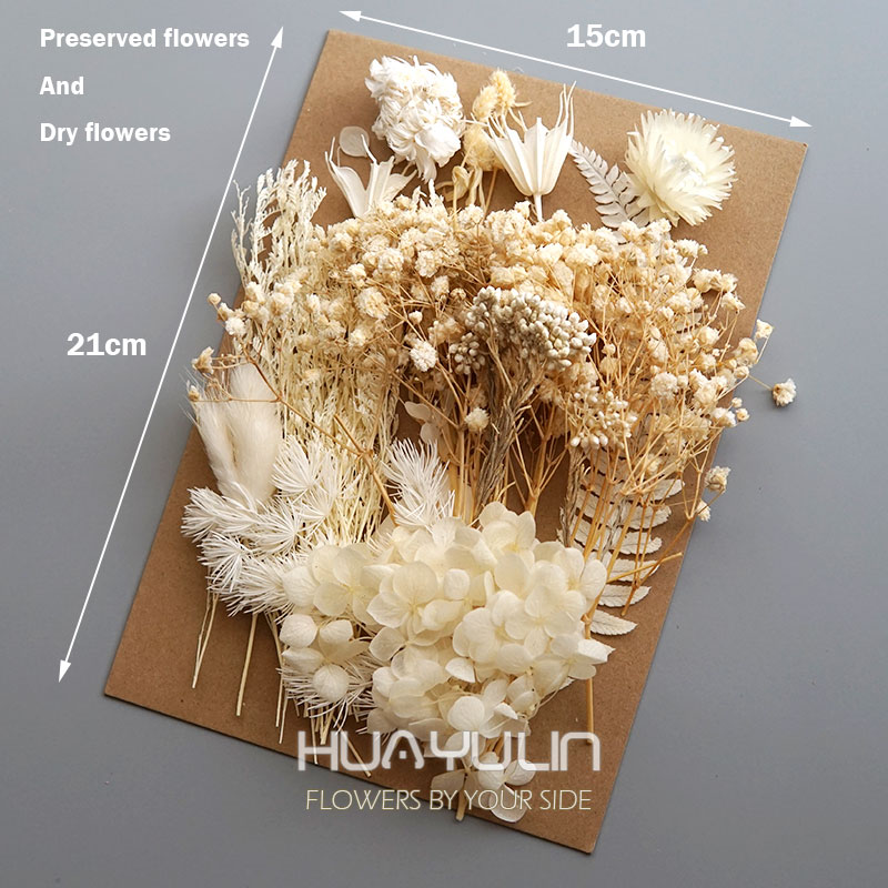 1 Pack Artificial Plants Dried - Baby Breath Dried 评论和价格