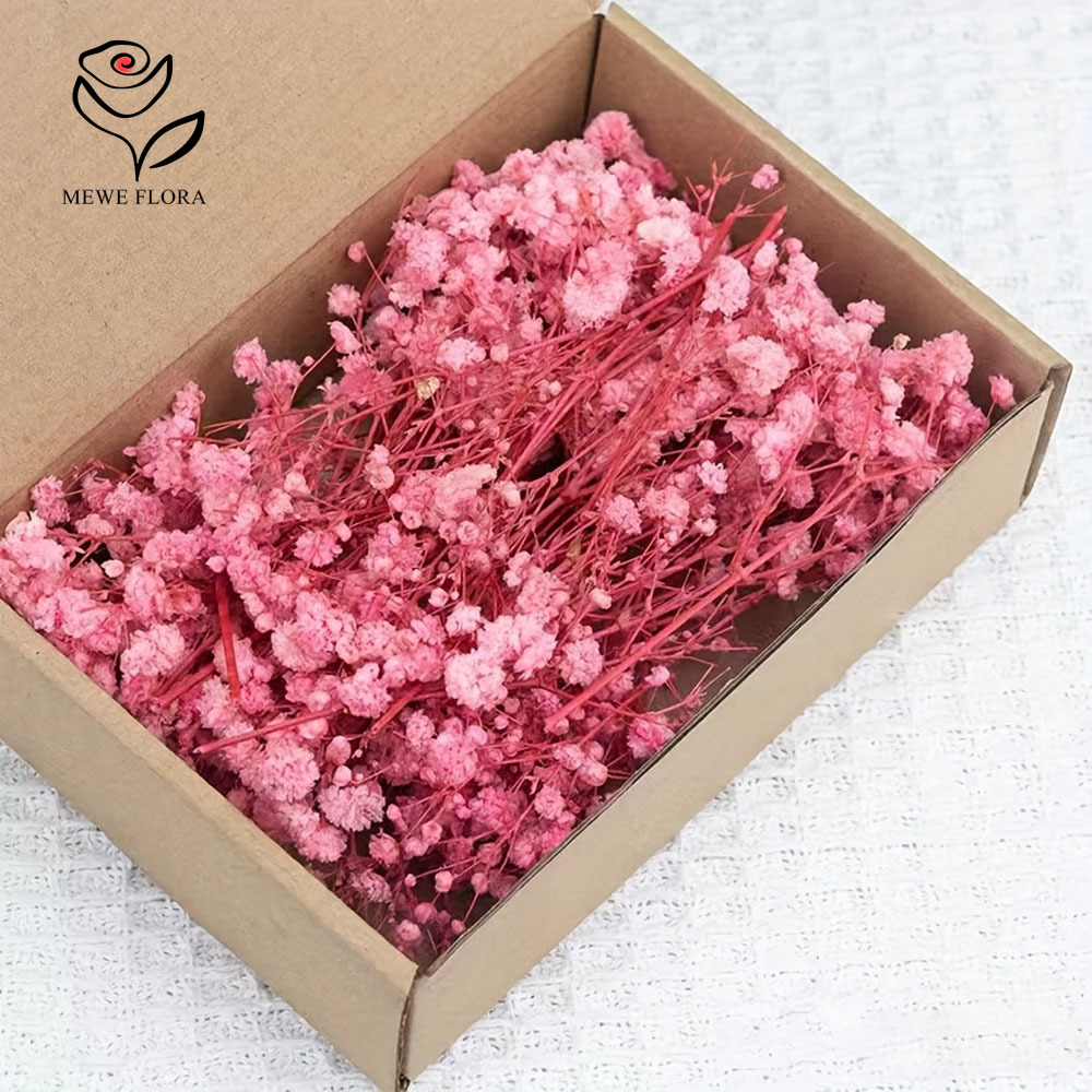 100 Small Branch Dried Baby's  - Baby Breath Dried 评论和价格