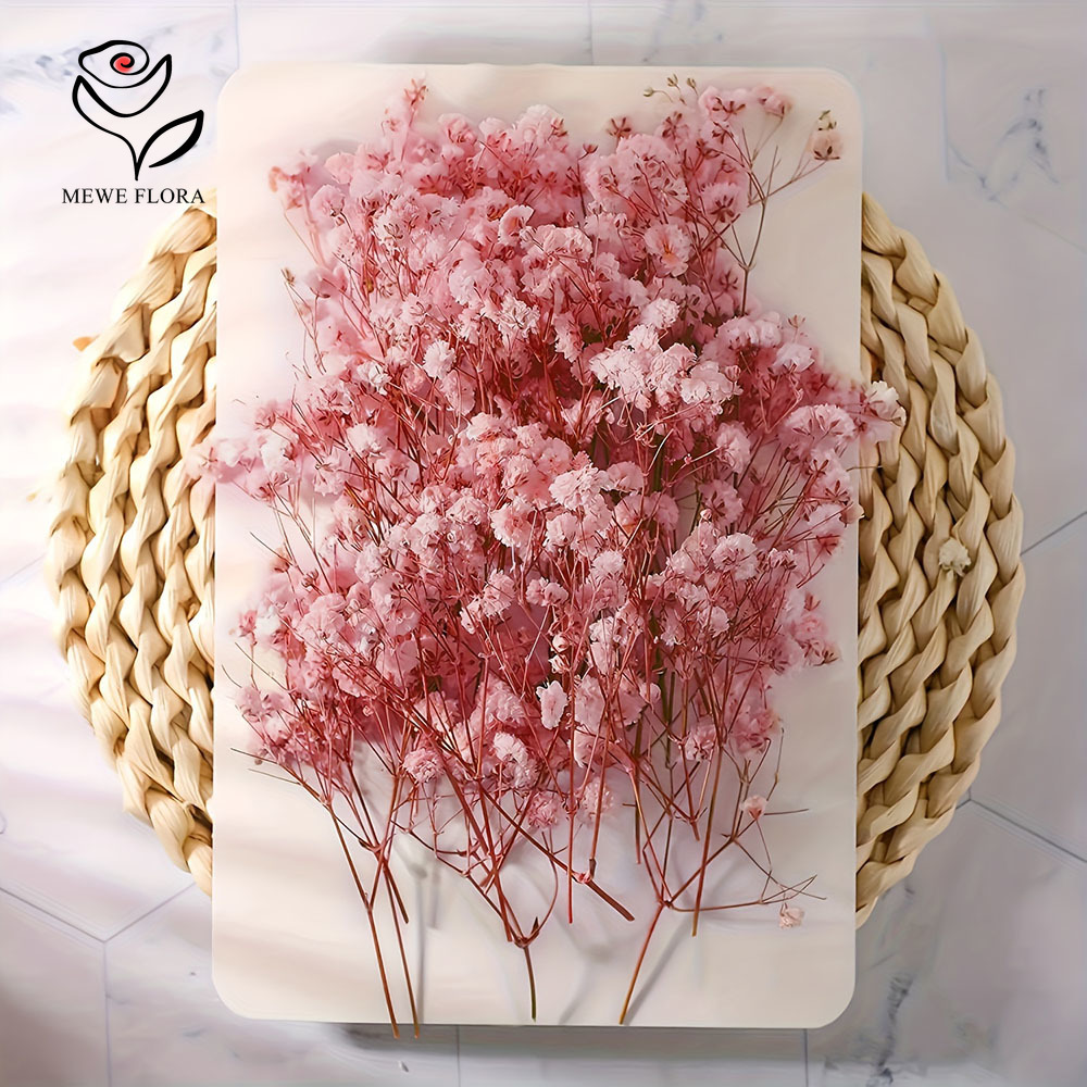 100 Small Branch Dried Baby's  - Baby Breath Dried 评论和价格