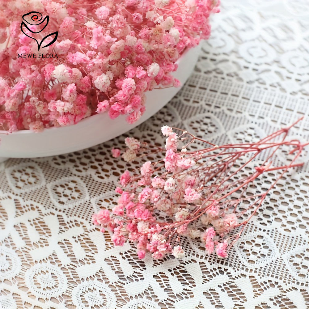 100 Small Branch Dried Baby's  - Baby Breath Dried 评论和价格