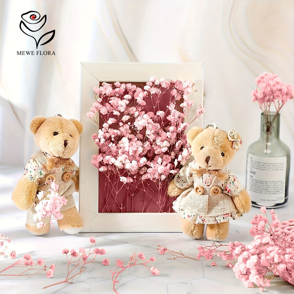 100 Small Branch Dried Baby's  - Baby Breath Dried 评论和价格